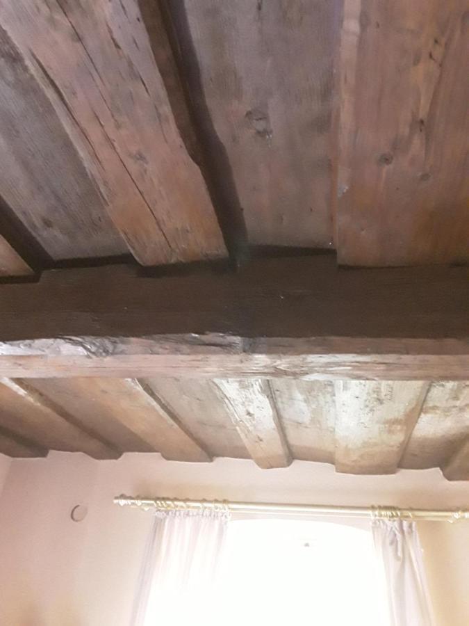 Hotel Feiler Muggendorf  Dış mekan fotoğraf